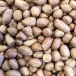 花生に ( ﾋﾟｰﾅｯﾂ )    小粒