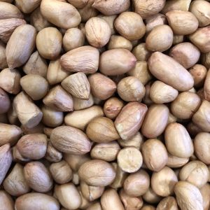 花生に ( ﾋﾟｰﾅｯﾂ )    小粒