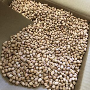 花生に  (ﾋﾟｰﾅｯﾂ)    小粒 1 ケス バラ (25Kg)